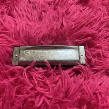 호너 스페셜 20 하모니카