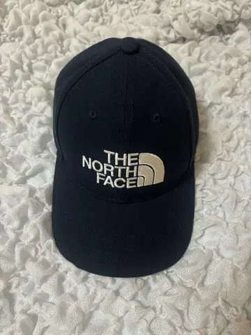 THE NORTH FACE 네이비 캡