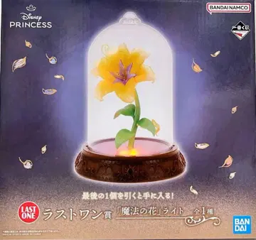 디즈니 프린세스 제일복권 라스트 원상