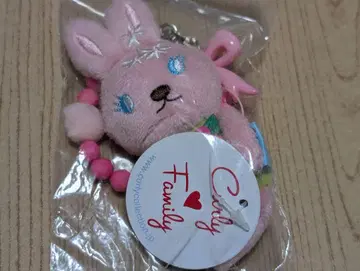 컬리 컬렉션 토끼 참