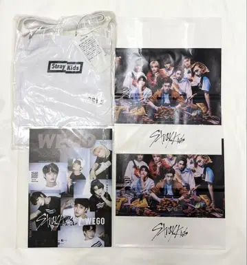 Stray Kids 스키즈 WEGO 콜라보 세트