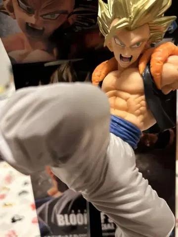 BLOOD OF SAIYANS 오지터