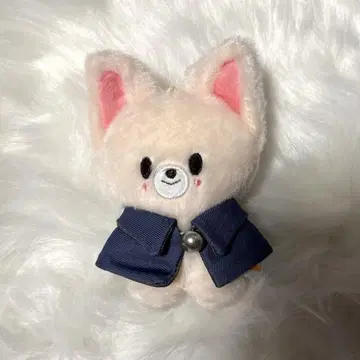 skzoo 폭시니