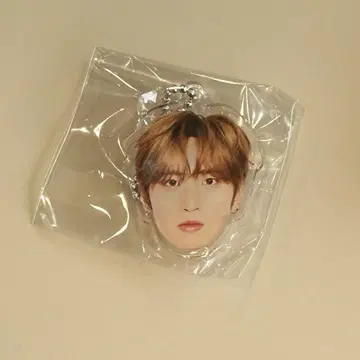 INI 허풍범 캡슐 토이 얼굴 아크릴 키링