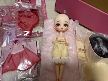 하모니아 블루 소메이요시노 풀세트