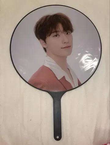 Be the sun 디노 부채