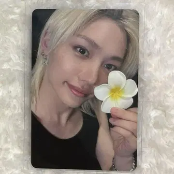 StrayKids KARMA everlie 필릭스 스키즈 점포 혜택