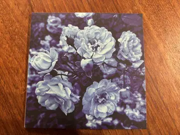 RAY [ Blue ] CD 슈게이저 아이돌 도츠 도쿄