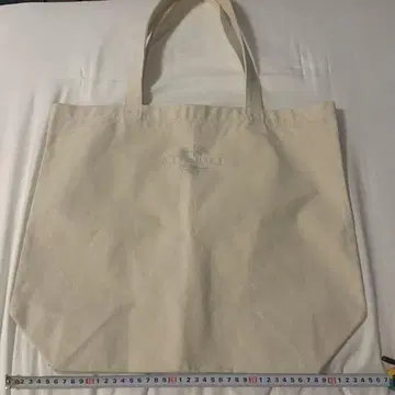 roots to branches 오리지널 에코 토트백
