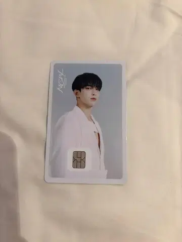 SEVENTEEN 세부치 도겸 Namane 카드