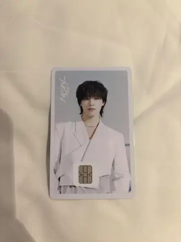 SEVENTEEN 세부치 디노 Namane 카드