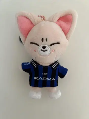 Stray Kids 스키즈 KARMA SKZOO VER 아이엔
