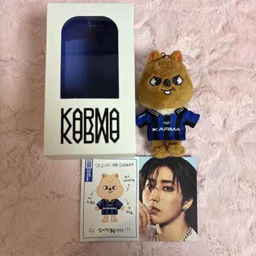Straykids KARMA 봉제 인형 키링 한정판 보드카