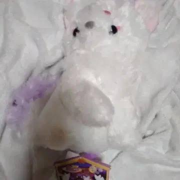 초코네와 구미님 JB 봉제 인형 쿠즈키리 여우 모리 판타지 한정판