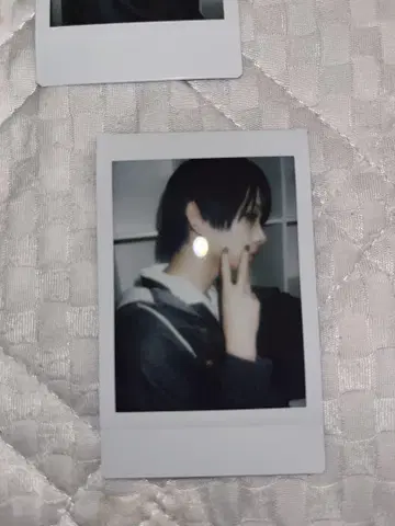 카지 온라인 폴라로이드 2회차