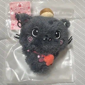 nctwish 리쿠 봉제 인형
