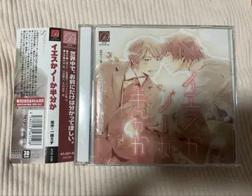 드라마 CD 예스냐 노냐 반반인가
