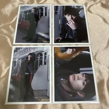 초특급 브로마이드 RiB C 알로하 세미 컴프