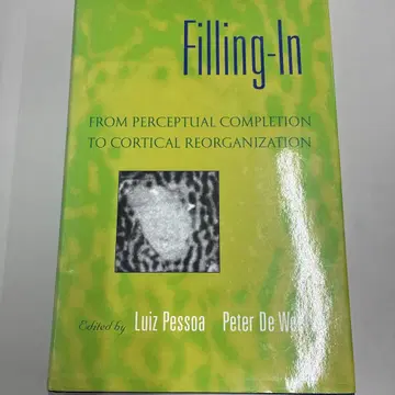 Filling-In: From Perceptual Completion