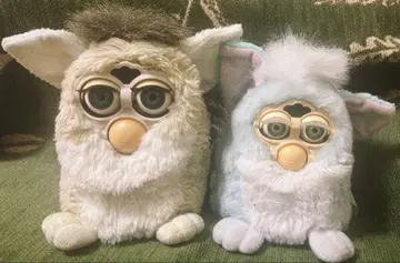 퍼비 퍼비 베이비 세트