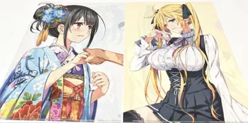 Fate/kaleid liner 프리즈마 이리야 드라이!! 클리어 파일