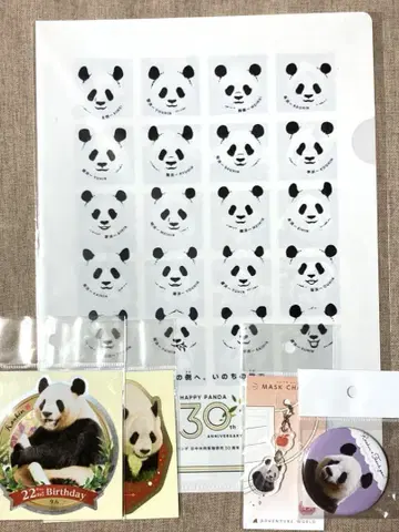 어드벤처 월드 팬더 량빈