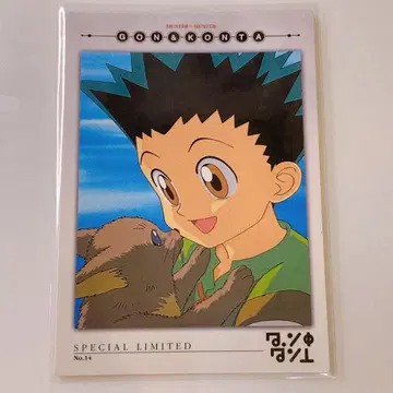 HUNTER x HUNTER 카드 마스터즈 곤 프리