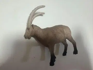 슐라이히 아이벡스