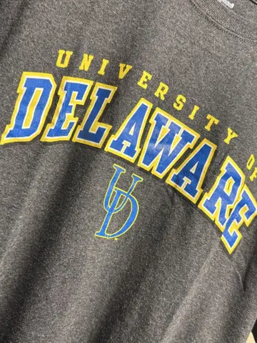 Champion University of Delaware 티셔츠