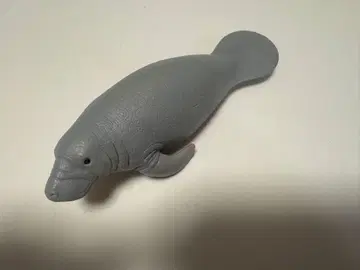 슐라이히 마나티