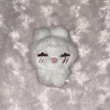 enhypen 봉제 인형 10cm 선우