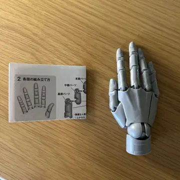 코토부키야 핸드 모델 1/2 R 그레이 조립 완료