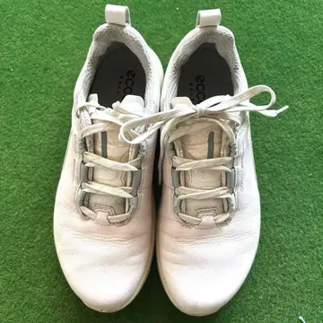 ecco 골프화 여성용 화이트