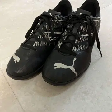 Puma 트레이닝 슈즈 25.5cm