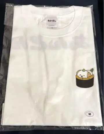 RIIZE 라이즈 팝업 셔츠 앤톤