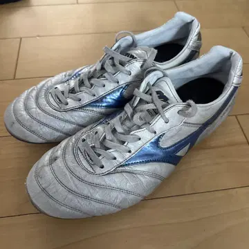 모렐리아 Japan 27 한정 컬러