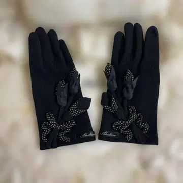 사에라 아키아카네 장갑