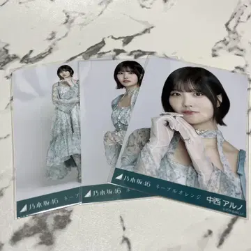 노기자카 나카니시 아루노 네이블 오렌지 컴프