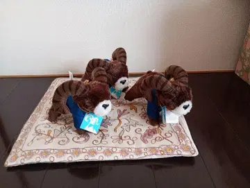빅혼 양 봉제 인형 3체