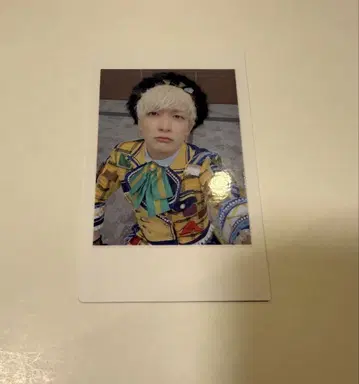 1 팬더 드래곤 파라곤 하피카 폴라로이드 요우타