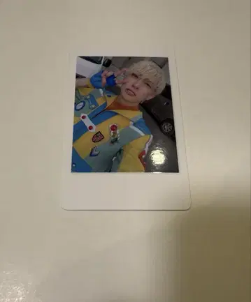 8 팬더 드래곤 파라곤 하피카 폴라로이드 요우타