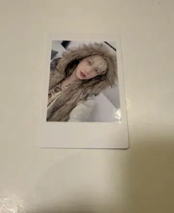 10 팬더 드래곤 파라곤 하피카 폴라로이드 요우타