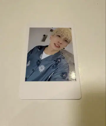 11 팬더 드래곤 파라곤 하피카 폴라로이드 요우타