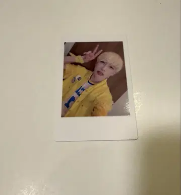 12 팬더 드래곤 파라곤 하피카 폴라로이드 요우타