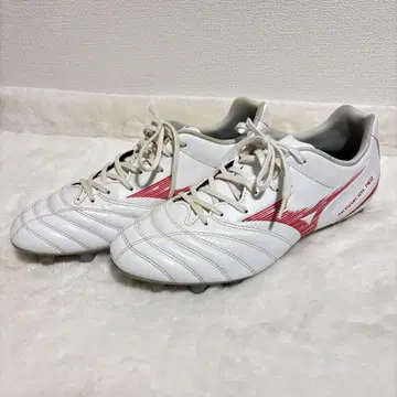 모나르시다 네오 3 / 27cm