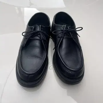 KLEMAN 왈라비