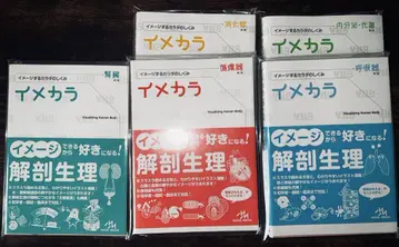 이메카라 내분비 대사, 호흡기, 소화관, 신장, 순환기