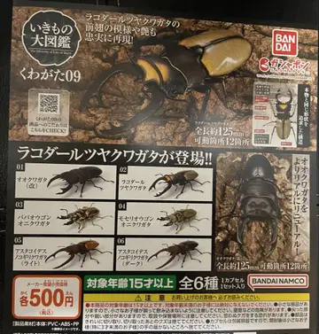 장수풍뎅이09 전 6종 세트 생물대도감