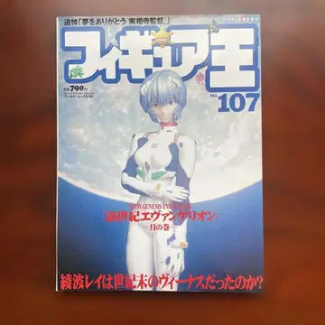 피규어 왕 107