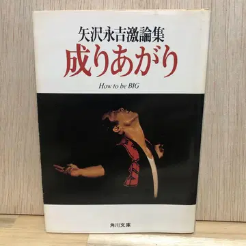 성장 야자와 에이요시 격론집 야자와 에이요시